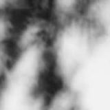 Shadow Calligraphy 25