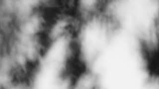 Shadow Calligraphy 25