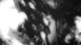 Shadow Calligraphy 26