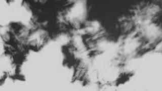 Shadow Calligraphy 27