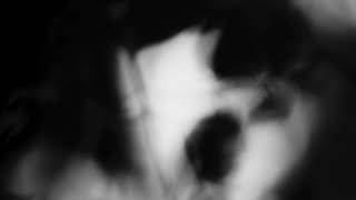 Shadow Calligraphy 3