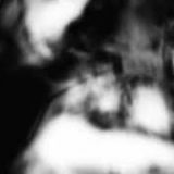 Shadow Calligraphy 31