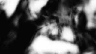 Shadow Calligraphy 31