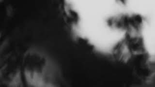 Shadow Calligraphy 33