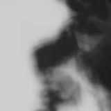 Shadow Calligraphy 34