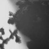 Shadow Calligraphy 35