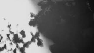 Shadow Calligraphy 35