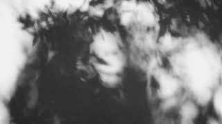 Shadow Calligraphy 36