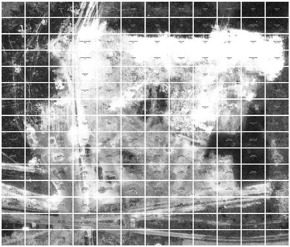 1 to the Power of 500,000