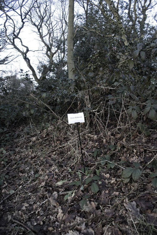 The Woods, Breathing