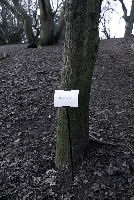 The Woods, Breathing