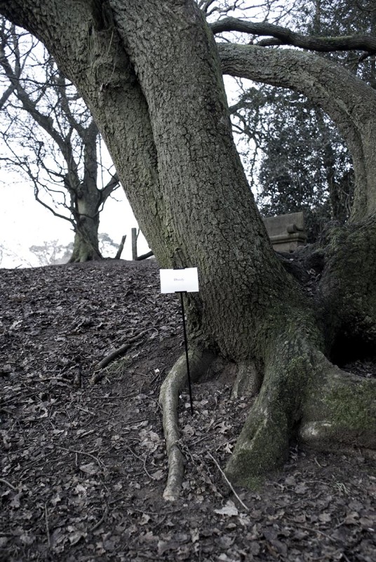 The Woods, Breathing