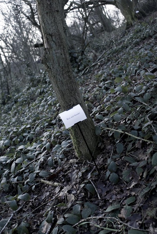 The Woods, Breathing