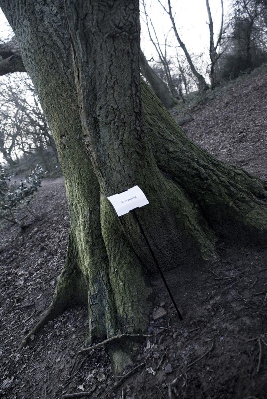 The Woods, Breathing