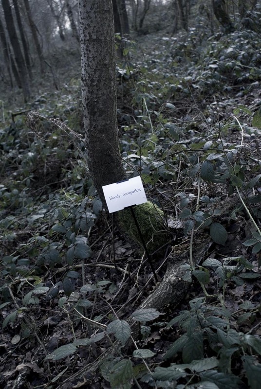 The Woods, Breathing