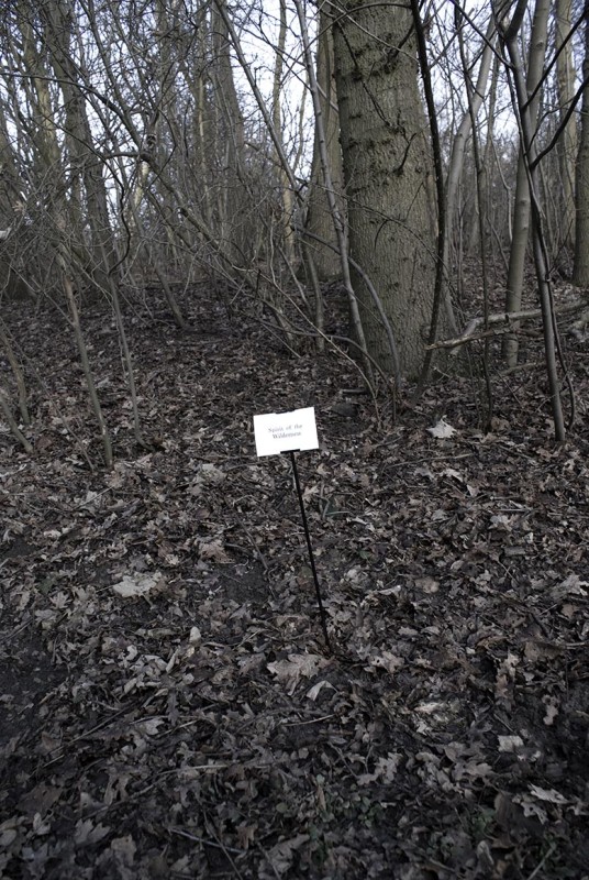 The Woods, Breathing