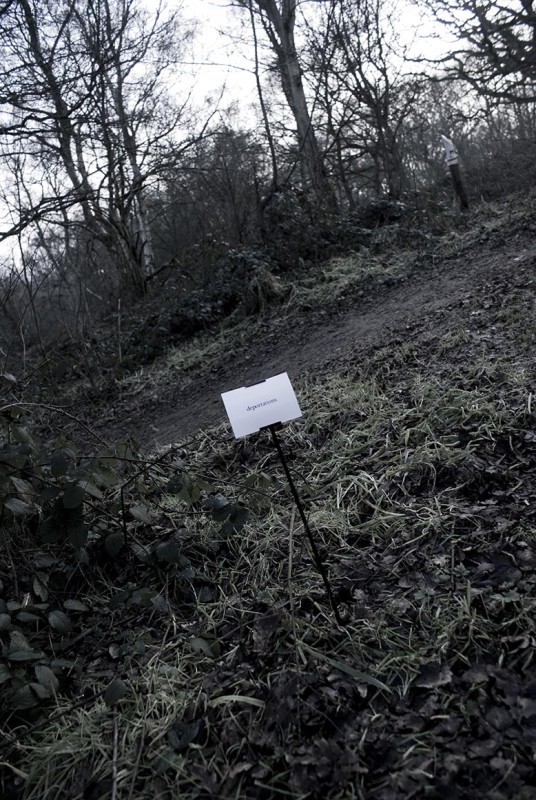 The Woods, Breathing