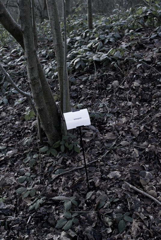 The Woods, Breathing