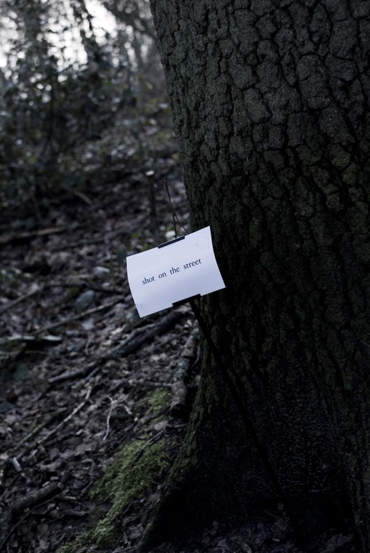 The Woods, Breathing