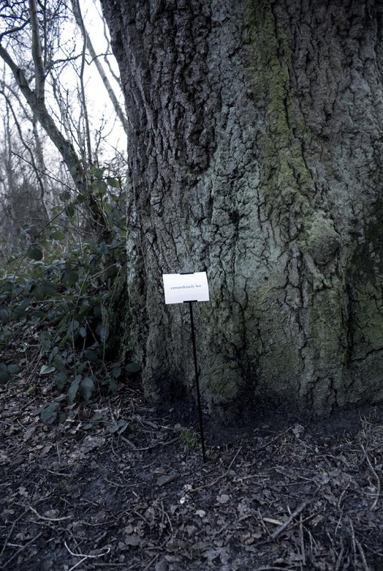 The Woods, Breathing