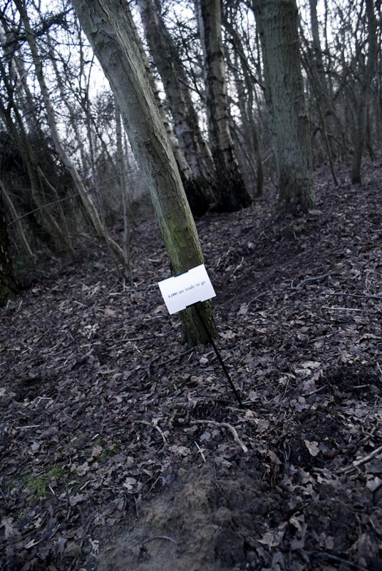 The Woods, Breathing