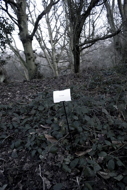 The Woods, Breathing