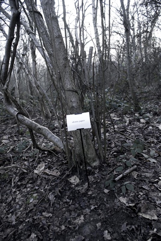 The Woods, Breathing