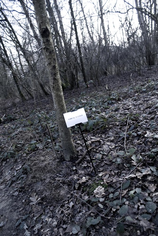 The Woods, Breathing