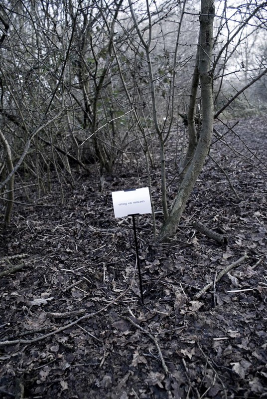 The Woods, Breathing