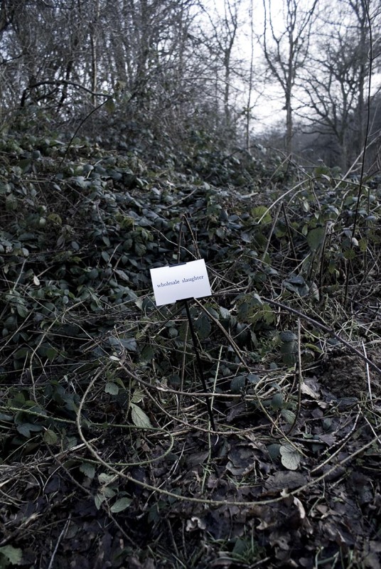 The Woods, Breathing