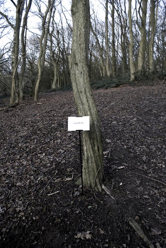 The Woods, Breathing