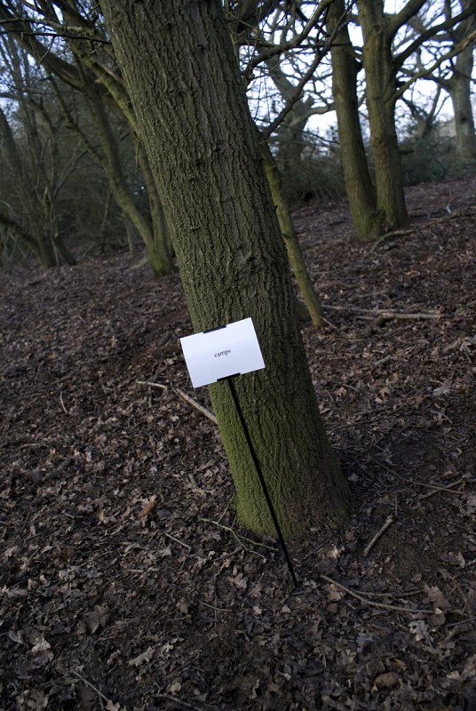 The Woods, Breathing