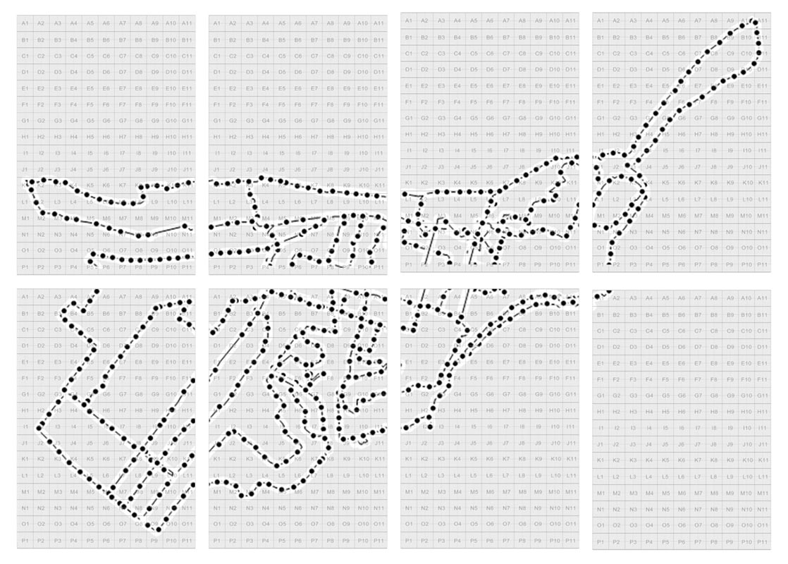 Walks in Newcastle, Australia